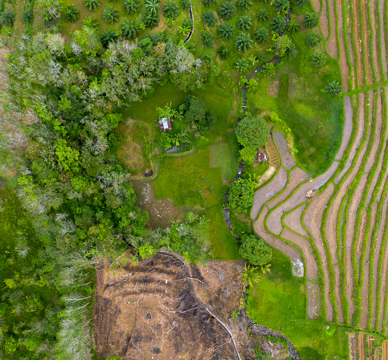 dron2